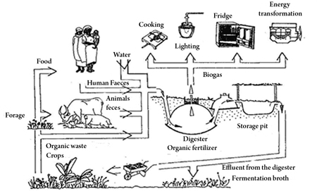 Biogas fridge clearance